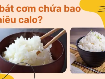 Calo trong 3 bát cơm- Bao nhiêu năng lượng cho cơ thể bạn?