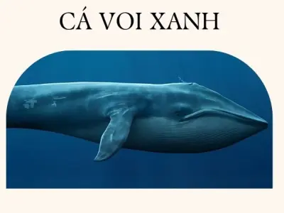 Động vật lớn nhất thế giới từng tồn tại trên Trái Đất