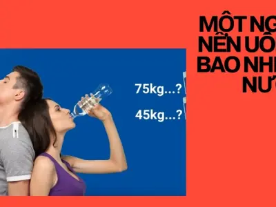 Lượng nước hợp lý và thời điểm lý tưởng để cơ thể khỏe mạnh