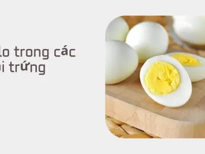 Trải nghiệm kiểm soát cân nặng với hàm lượng calo từ trứng
