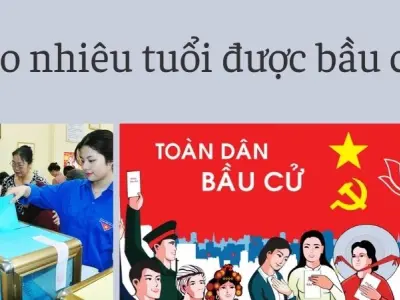 Bao nhiêu tuổi được bầu cử? Đừng để mất quyền lợi quý giá