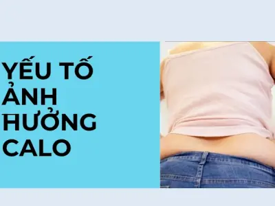 Trải nghiệm tính calo đúng giúp kiểm soát cân nặng hiệu quả