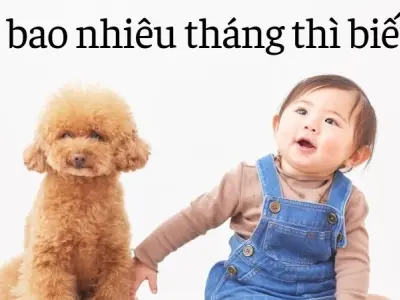 Trẻ bao nhiêu tháng thì biết đi để không chậm phát triển