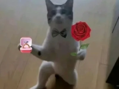 101+ Meme Tặng Hoa Siêu Hài Hước Cho Mọi Tình Huống