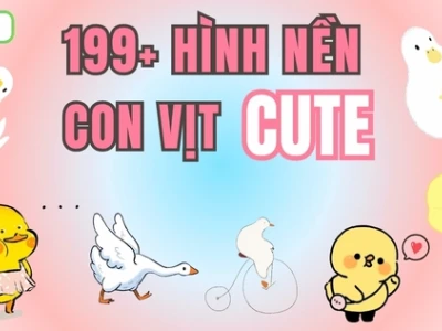 156+ Avatar Vịt Vàng Cute: Tổng Hợp Hình Nền Đáng Yêu Nhất 2026