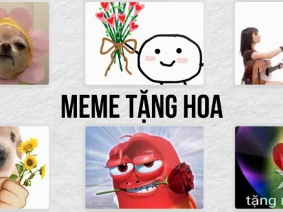 297+ Meme Tặng Hoa Hài Hước Nhất 2026