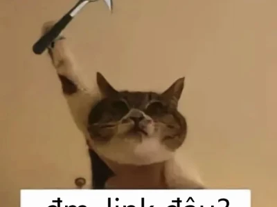 35 Meme Xin Link Hài Hước Nhất: Vũ Khí Troll Bạn Bè Đỉnh Cao