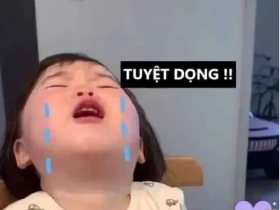 50+ Meme Thất Vọng Bộc Lộ Cảm Xúc Chân Thật Nhất