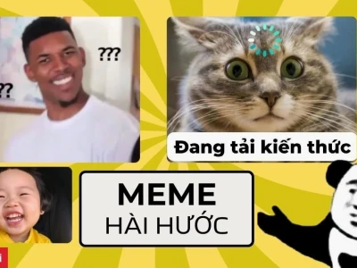 750+ Avatar Meme Mèo Bựa Hài Hước Nhất 2026