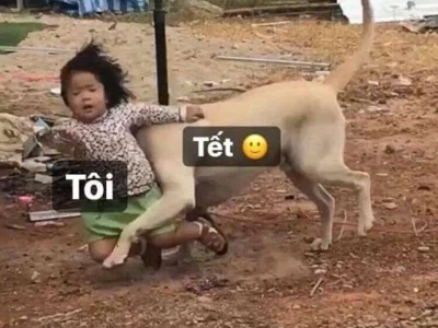 Avatar Meme Tết 2026: Tuyển tập ảnh chế độc đáo và hài hước