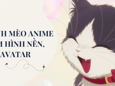 Avatar Mèo Cute Ngộ Nghĩnh: Bộ Sưu Tập Ảnh Độc Đáo Cho Mọi Nền Tảng