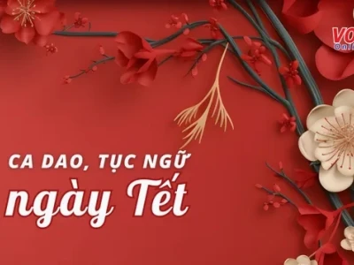 Ca dao tục ngữ về bánh chưng và ngày Tết