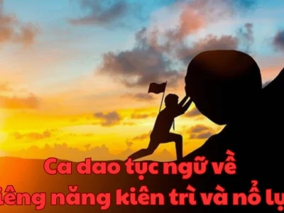 Ca dao tục ngữ về siêng năng kiên trì: Bài học cho thế hệ mai sau