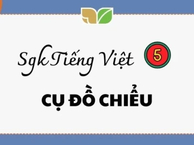 Cụ Đồ Chiểu Văn lớp 5: Cuộc đời và Di sản