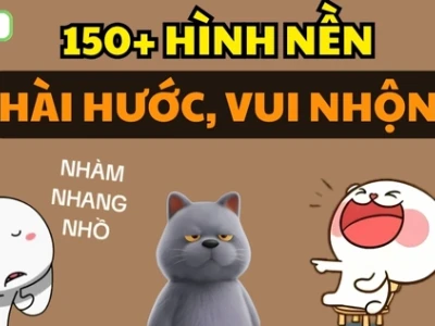 Hình Nền Điện Thoại Meme: Kho Ảnh Vô Tri, Hài Hước Nhất 2026