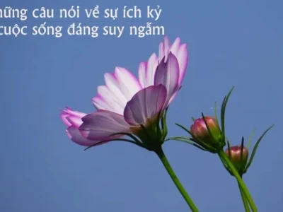 Khám phá ca dao tục ngữ phê phán thói ích kỷ
