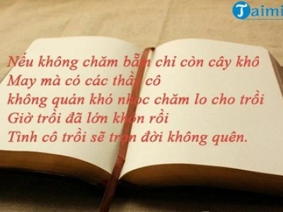 Khám phá kho tàng ca dao tục ngữ về thầy cô và mái trường