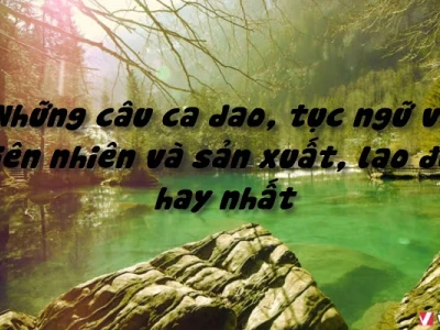 Khám phá kho tàng ca dao tục ngữ về thiên nhiên và lao động