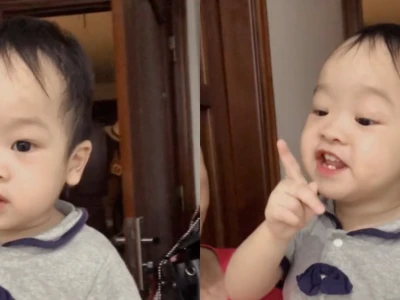 Khám phá kho tàng meme năn nỉ hài hước và ý nghĩa sâu sắc