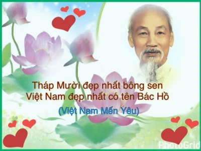 Khám phá vẻ đẹp ca dao tục ngữ về Đồng Tháp