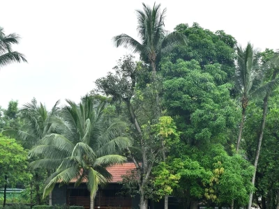 Khu di tích Chủ tịch Hồ Chí Minh: Dấu ấn lịch sử và văn hóa