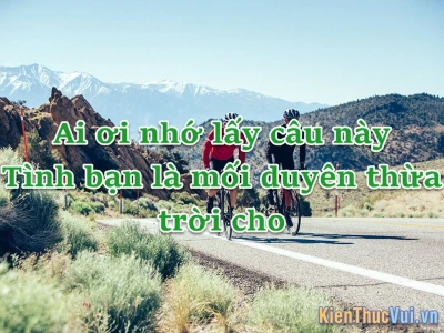 Những câu ca dao, tục ngữ hay về tình bạn sâu sắc ý nghĩa