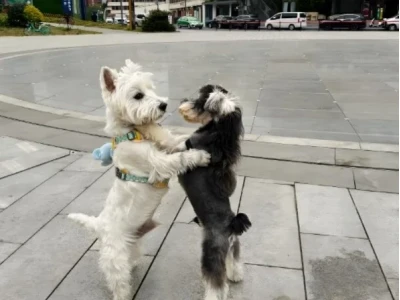 Tổng hợp 101+ ảnh meme ôm siêu cute, dễ thương