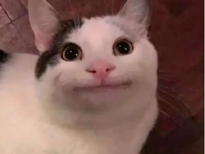 Tổng hợp Ảnh Meme Mèo Bựa Làm Avatar Hài Hước Nhất 2026