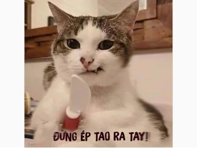 Tổng hợp ảnh meme người hài hước và thú vị nhất