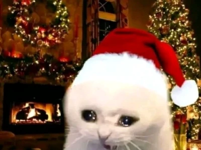 Tuyển Tập Ảnh Mèo Giáng Sinh Meme Vô Tri Cho Năm 2026
