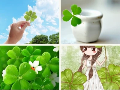 Tuyển tập Avatar Cỏ 4 Lá May Mắn: Biểu tượng đẹp cho sự khởi đầu
