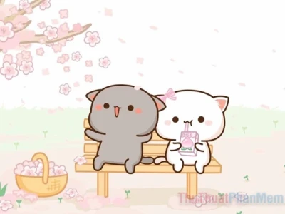 Tuyển Tập Avatar Đôi Mèo Cute Chất Lừ Cho Cặp Đôi Năm 2026