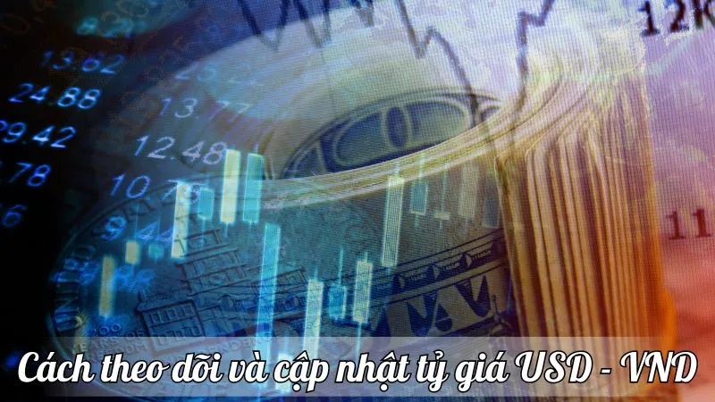 Cách theo dõi và cập nhật tỷ giá USD - VND