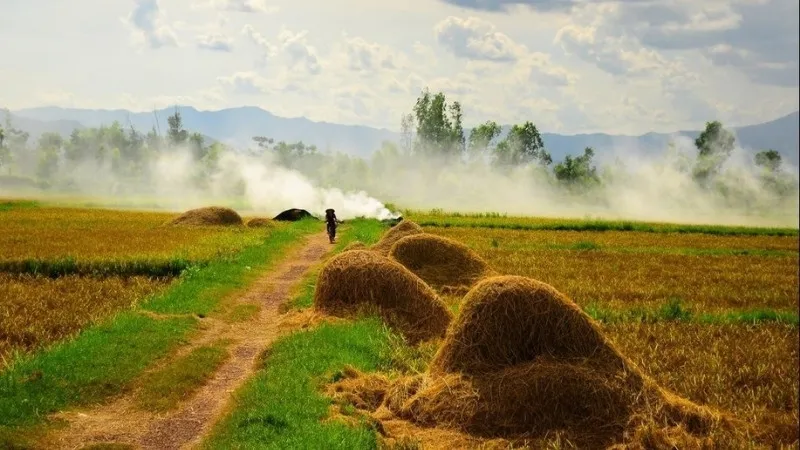 Ca dao, tục ngữ về tình yêu quê hương làng quê