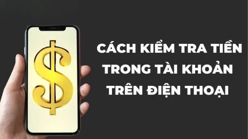 Một số câu hỏi liên quan đến kiểm tra tài khoản