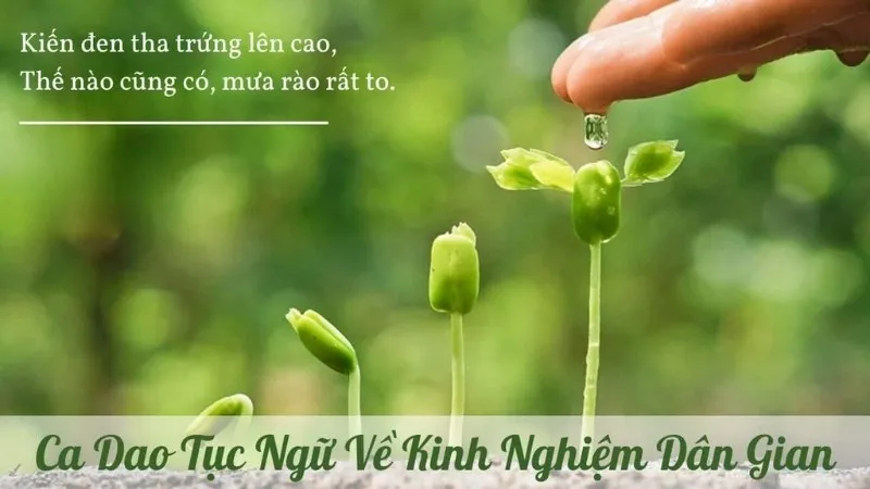 Thành ngữ, tục ngữ hay nhất 2