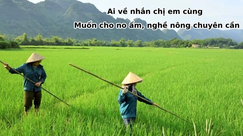 Ca dao, tục ngữ ấn tượng