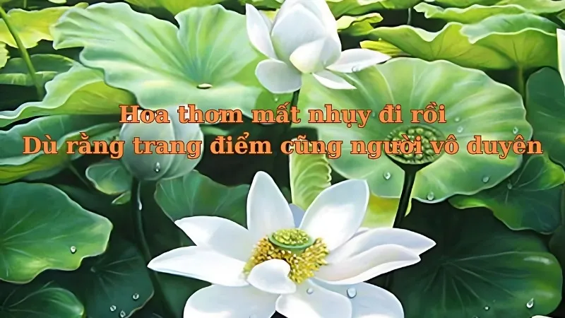 Ý nghĩa của những câu ca dao tục ngữ về lời ăn tiếng nói