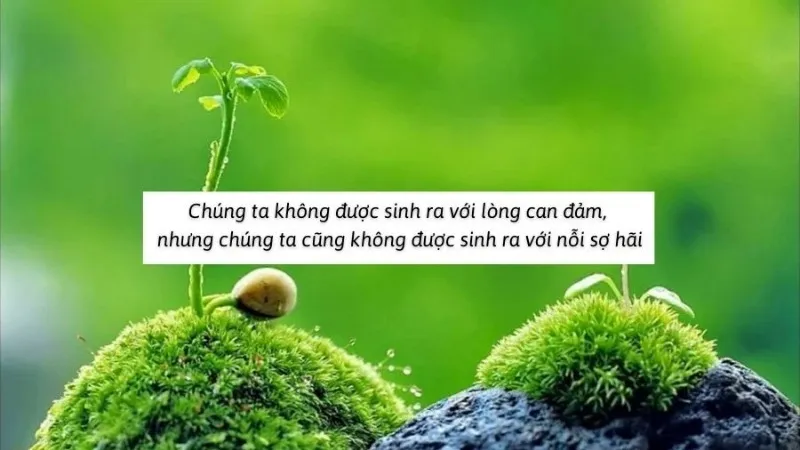 Câu nói, câu thơ về lòng dũng cảm