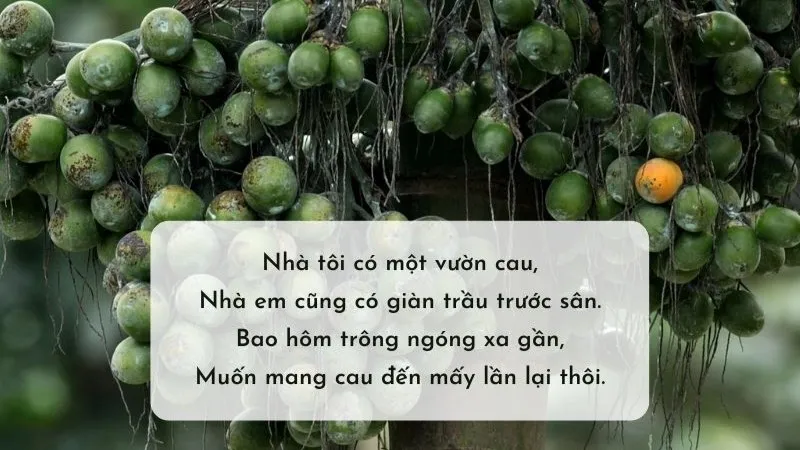 Những câu ca dao về miếng trầu hay nhất