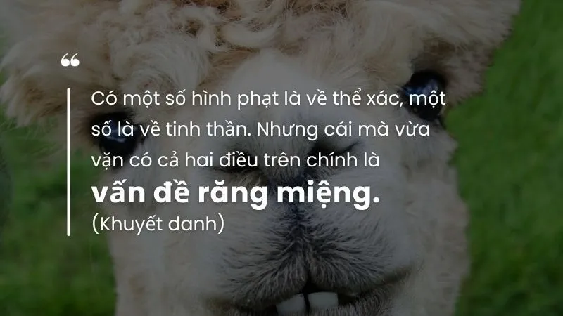 Ca dao nói về răng miệng 2